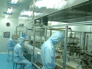 藥品生產技術 從生產到營銷的全鏈路探索